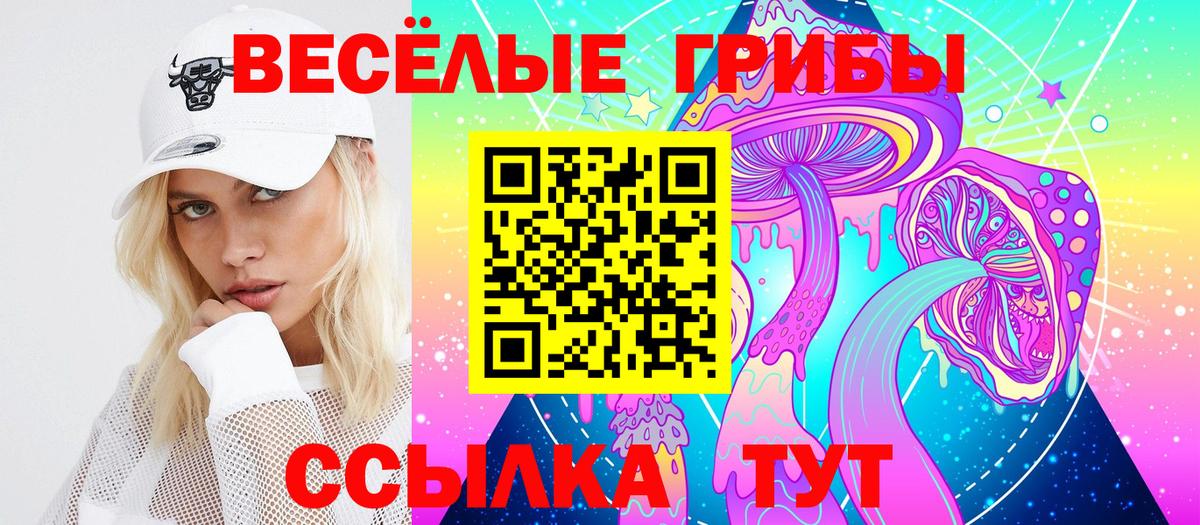 Галлюциногенные грибы Psilocybe Переславль-Залесский