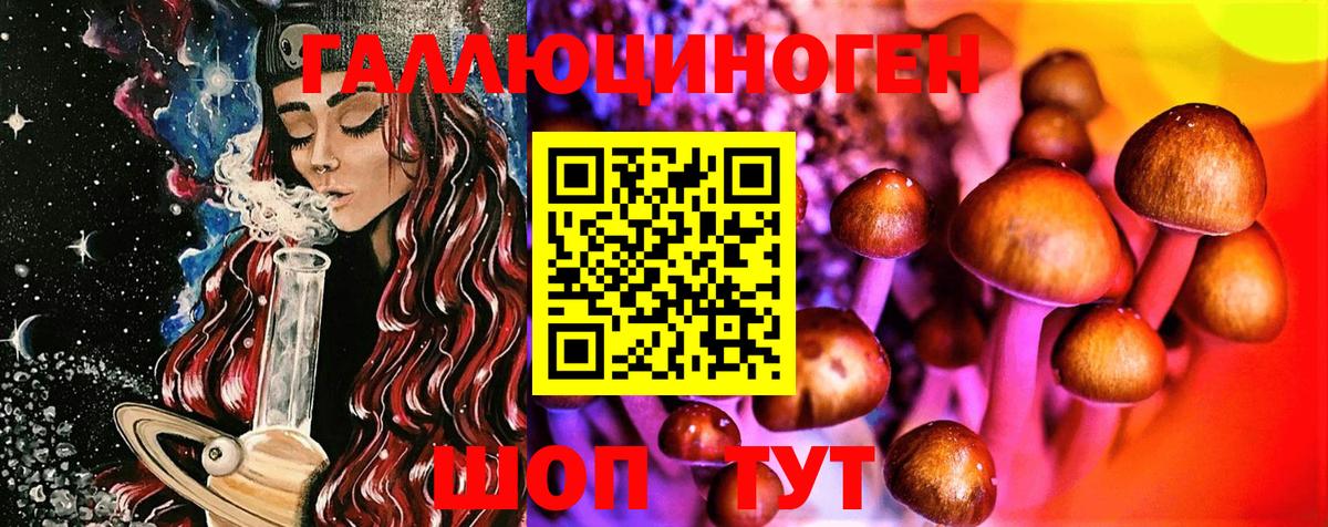 Переславль-Залесский  Псилоцибиновые грибы MAGIC MUSHROOMS  Вход с VPN  Псилоцибиновые грибы MAGIC MUSHROOMS 